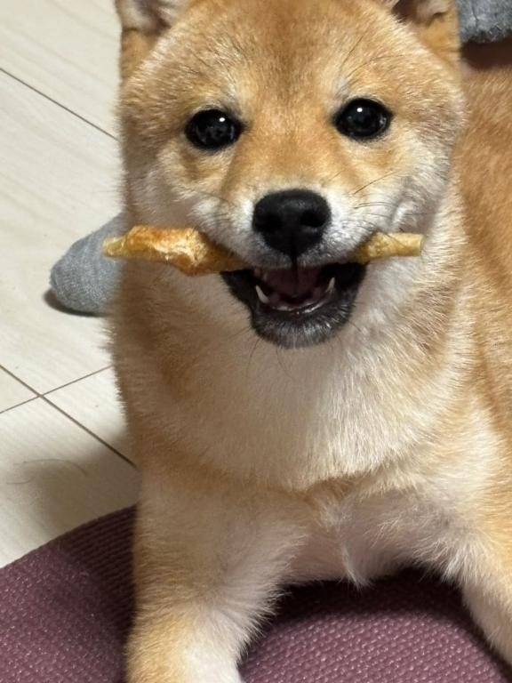 おはよう