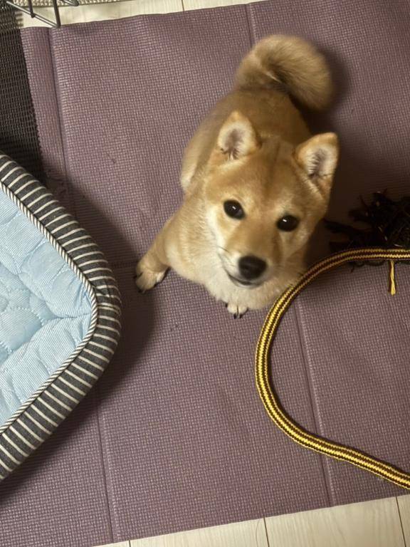 ありがとう