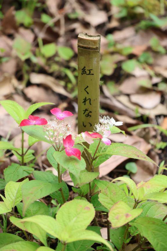 きのうもいちにち\( *´ω`* )/♪