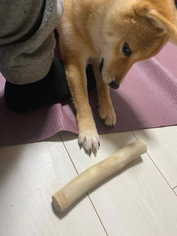 ありがとう!(´▽｀)