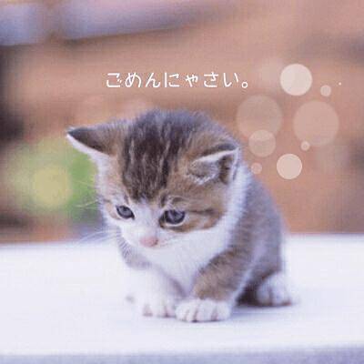 申し訳ありません‼️