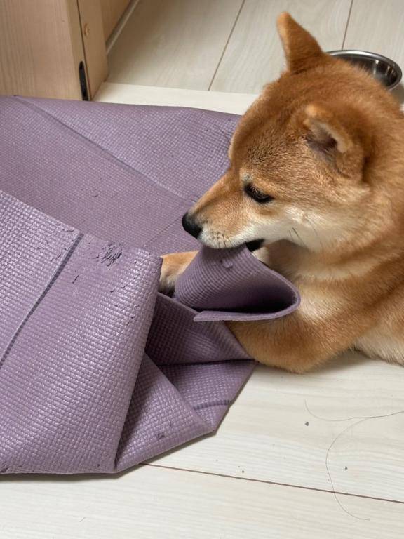 明日9時、10時🈳