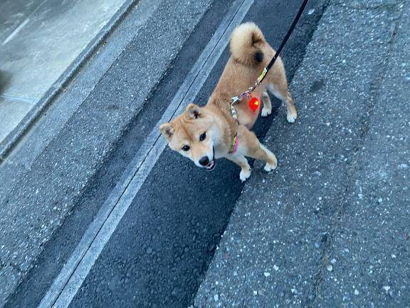 次回10時〜🈳