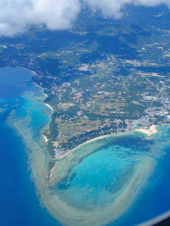 🌺沖縄つくーー🌺