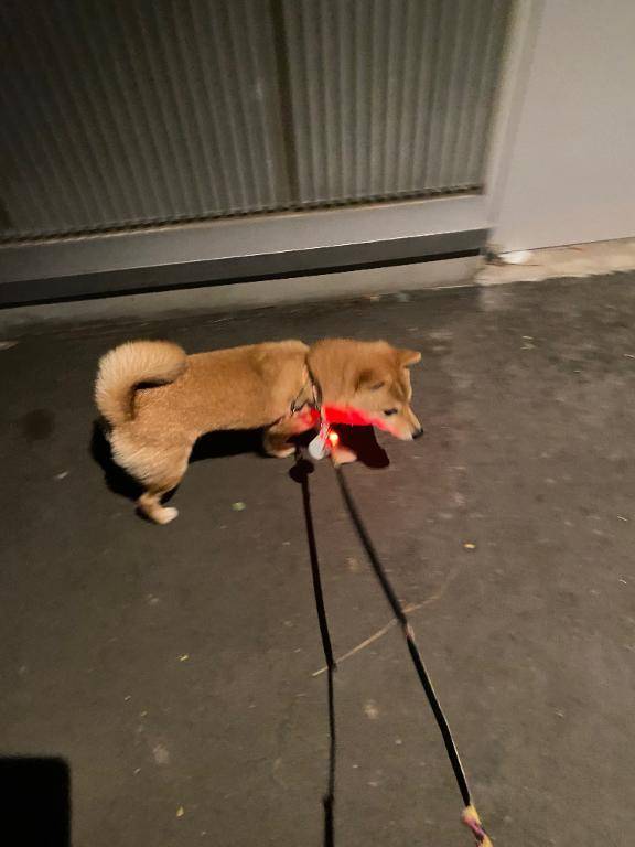 おはようございます