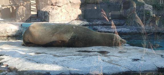 世界を旅するエッチな言葉🇷🇺