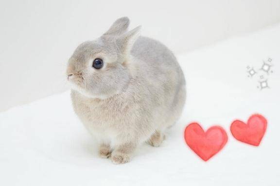 教えて♡IT系詳しい旦那様‼︎