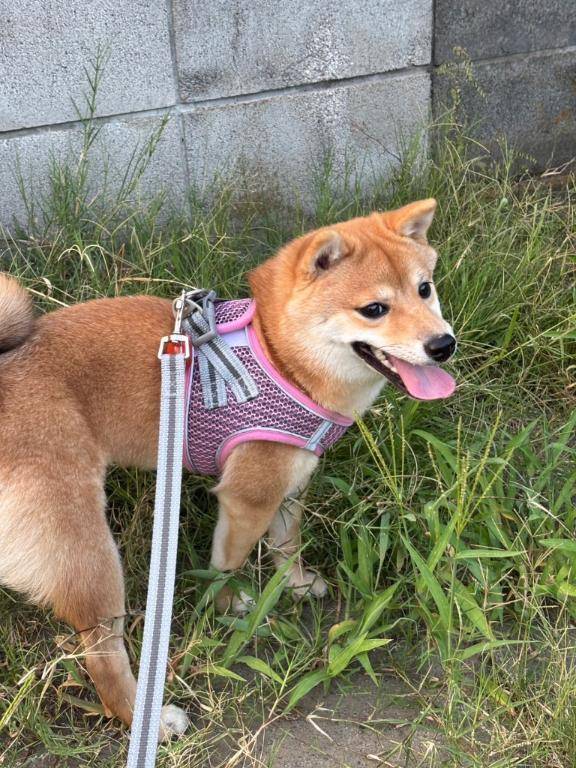 おはようございます