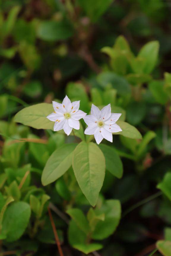 きょうもいちにち\( *´ω`* )/♪