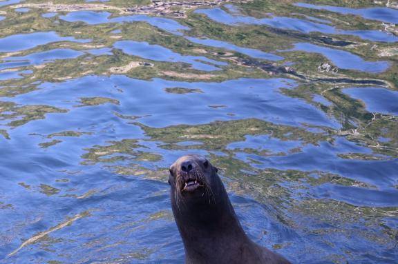 7.11\( *´ω`* )/♪