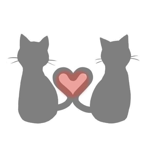 つばき（ファーストレディ）