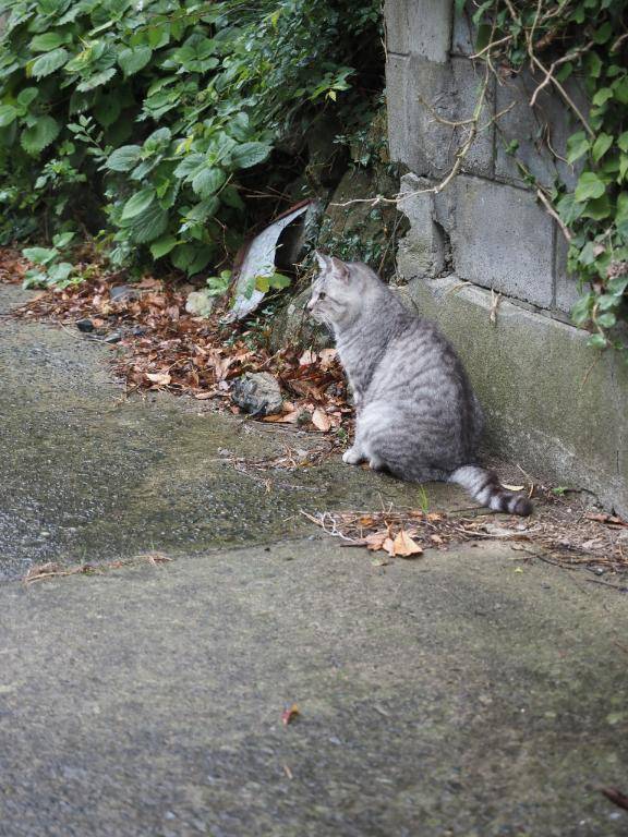 おはようございます☀️