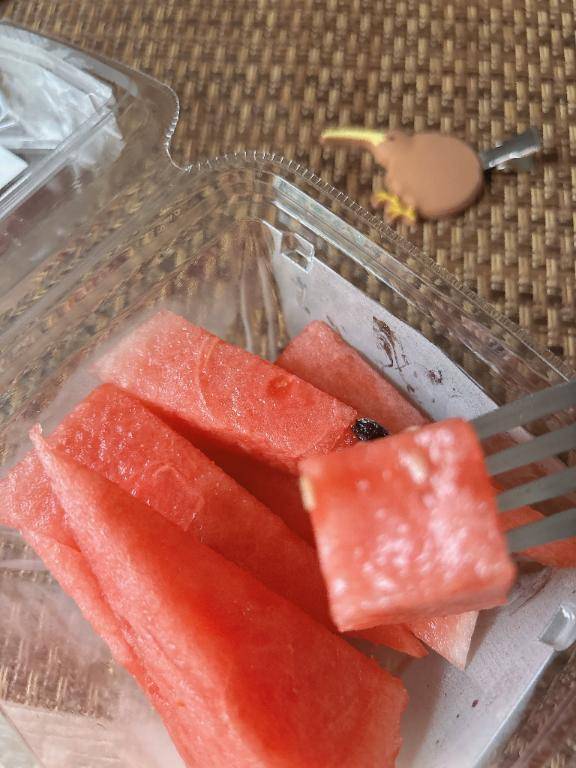 ぜんせんがほくじょうしました🍉\( *´ω`* )/♪