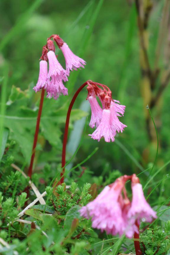 7/14ありがとう\( *´ω`* )/♪