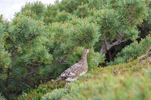 7/15ありがとう\( *´ω`* )/♪