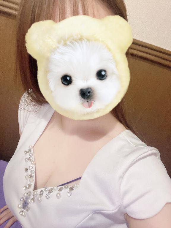 明日❣️