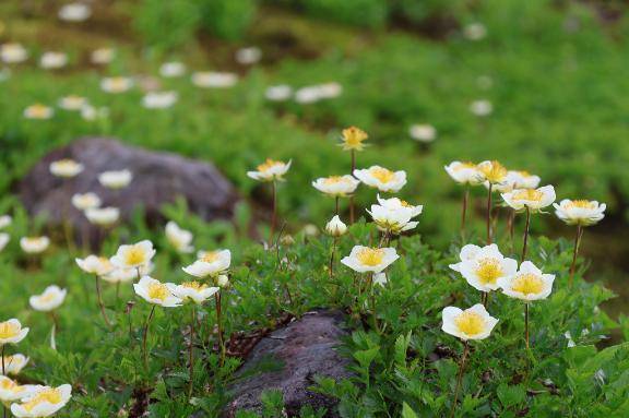 7/16ありがとう\( *´ω`* )/♪