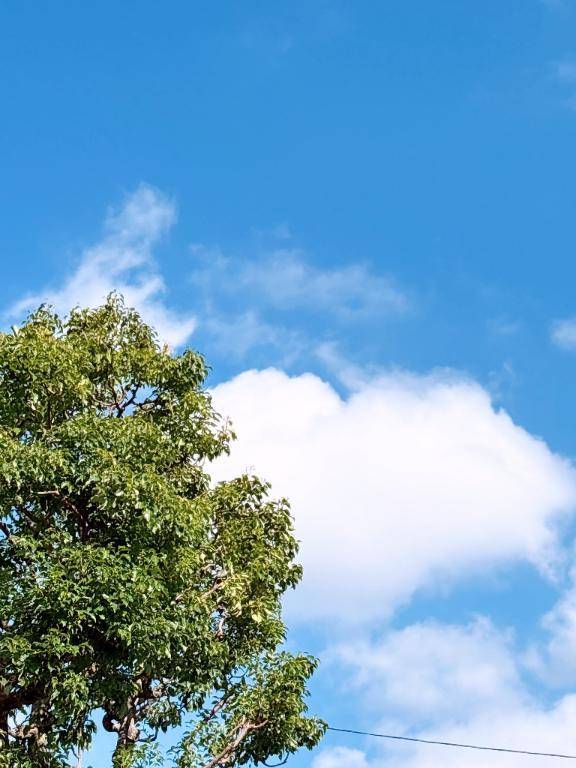 おかよおはよ\( *´ω`* )/♪