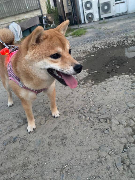 おはようございます