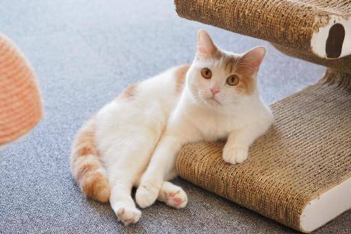 見てくれてありがとう♡