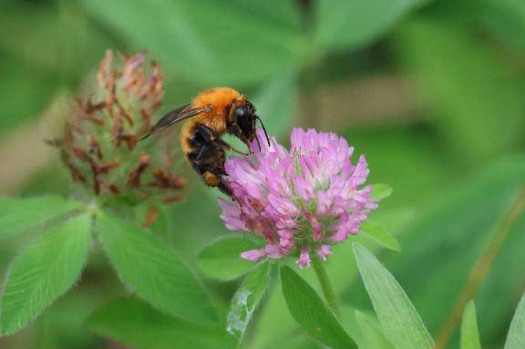 きょうは㌧をわすれない\( *´ω`* )/♪