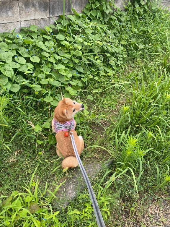 おはようございます☺️