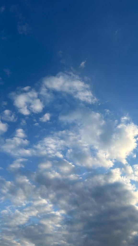 おはようございます☀️