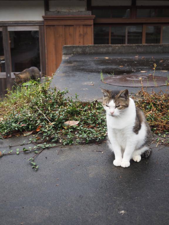 おはようございます☀️