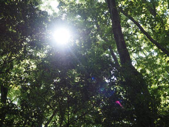 とうちゃく❣️