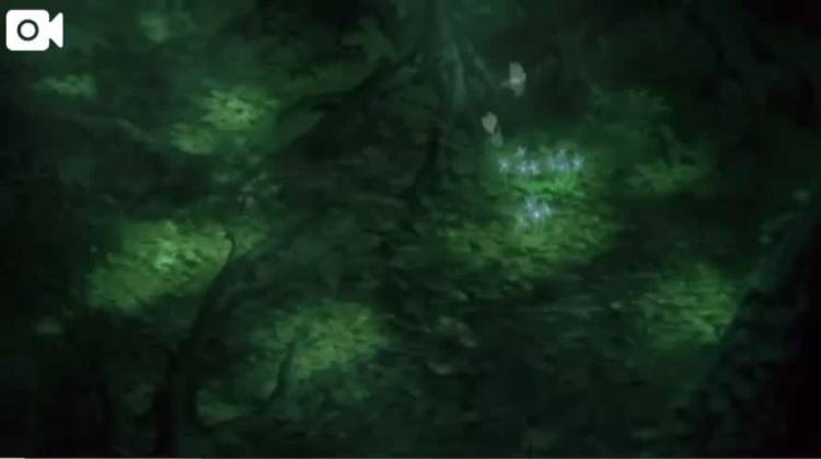 アラベスク1番ホ長調