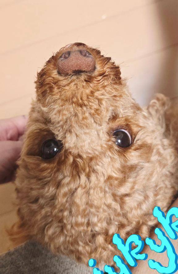 その目やめて…