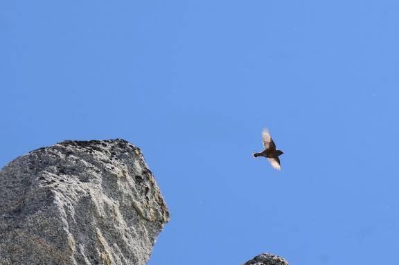 7/22ありがとう\( *´ω`* )/♪