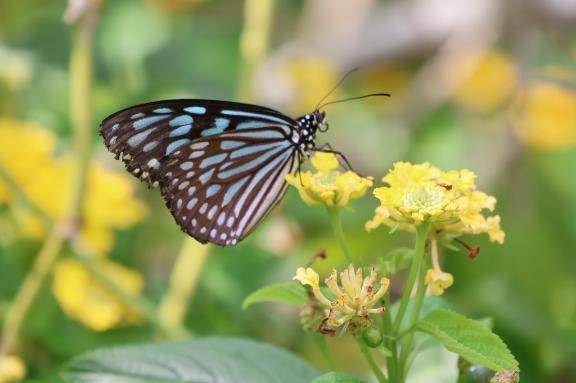 7/24ありがとう\( *´ω`* )/♪
