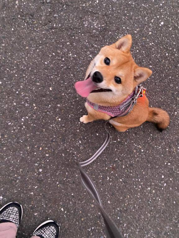 えがお