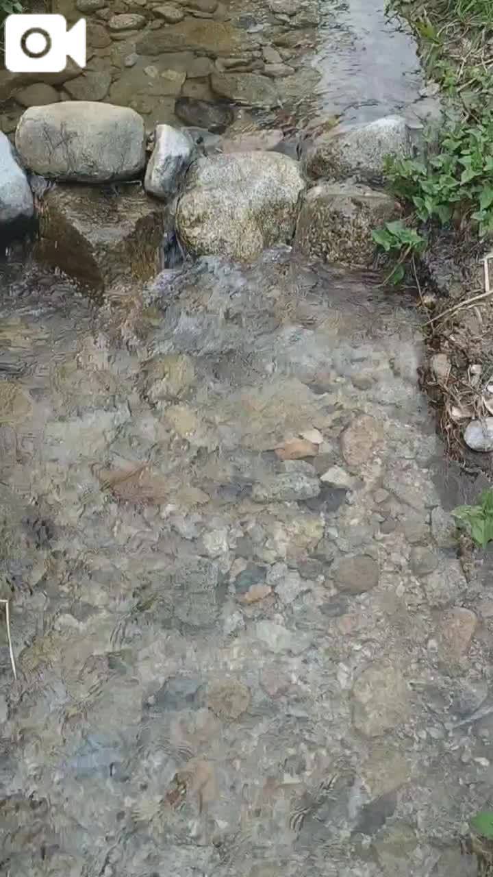 川で涼を感じて