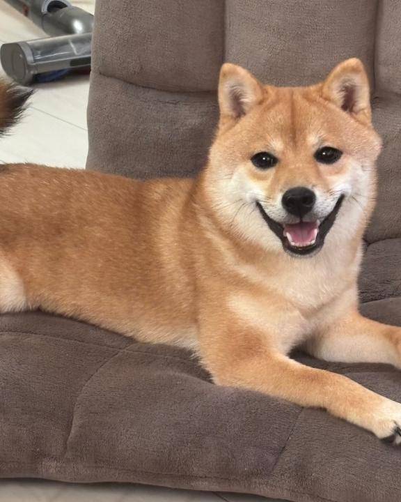 おはようございます☺️