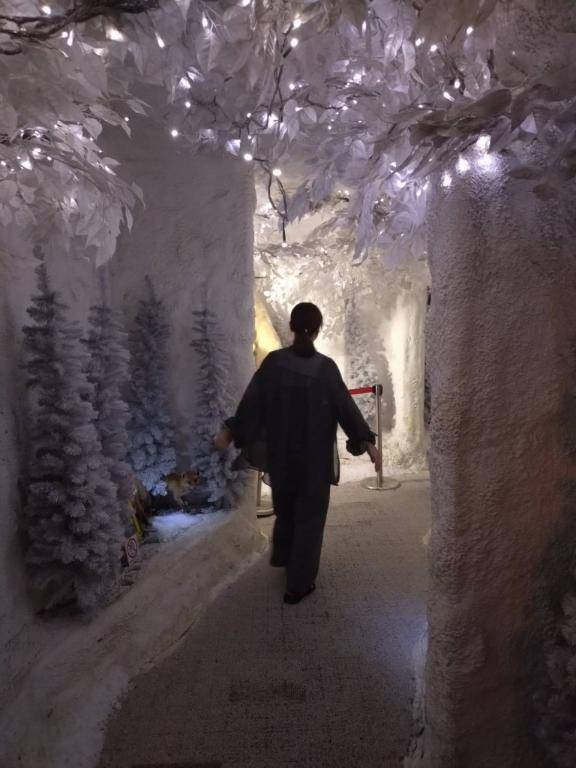 －30℃の世界🧊