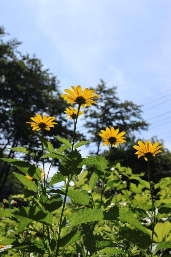 きょうもいちにち\( *´ω`* )/♪