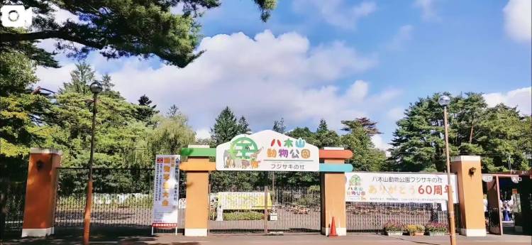 本日の🐳の散歩🚶‍♀️