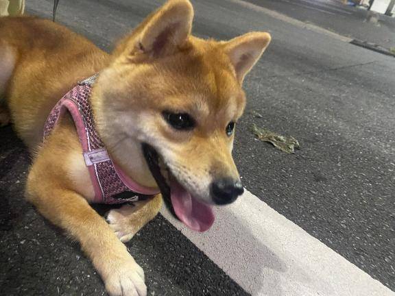 おはようございます