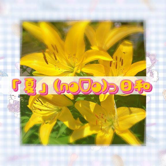 更新「-夏-」