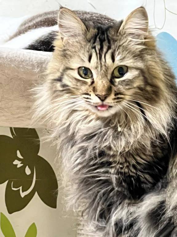 驚いて筋肉痛。