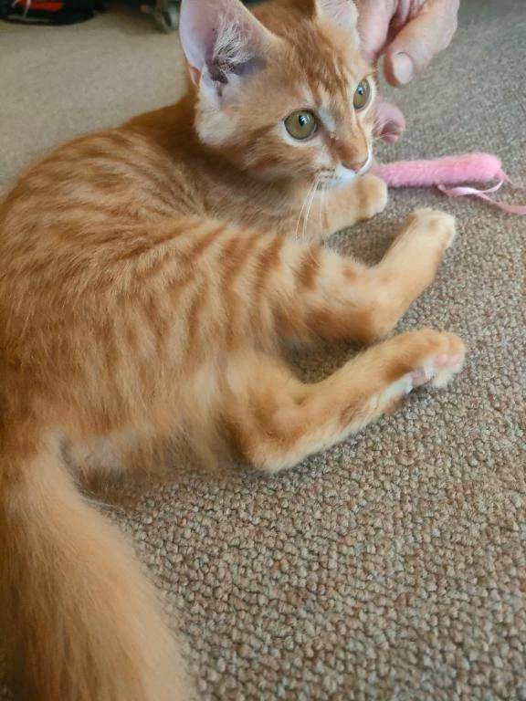 次回２７日/28日🍁9月出勤予定🍁