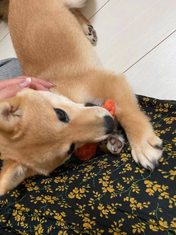 おはようございます😊