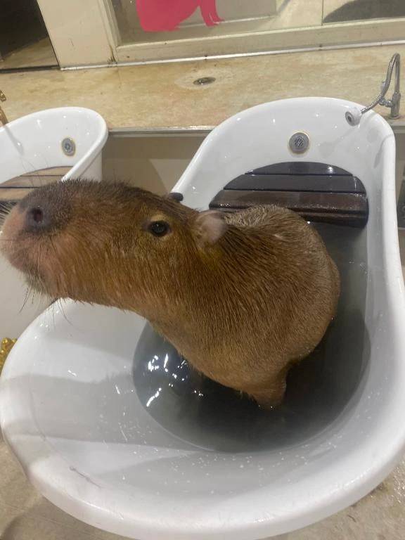 満枠お礼