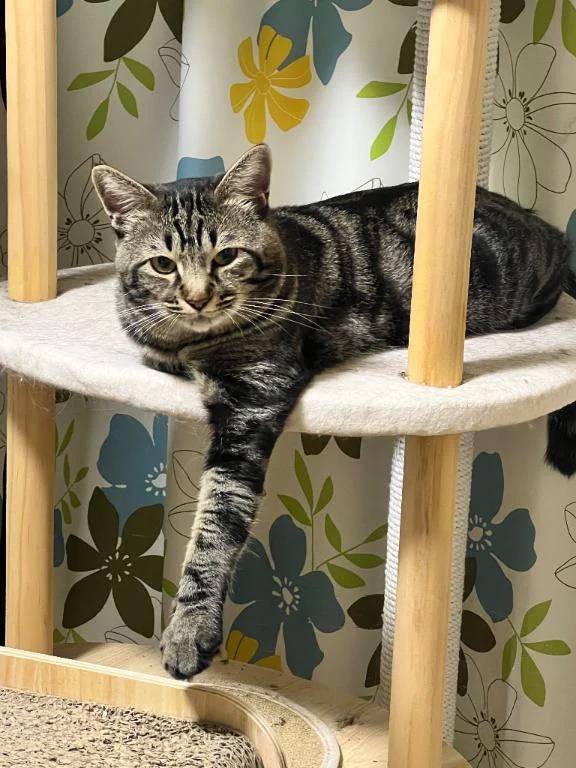 なんでこの時間で満員なんだ日本よ！！