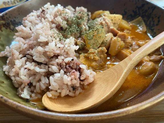 ランチ🍛