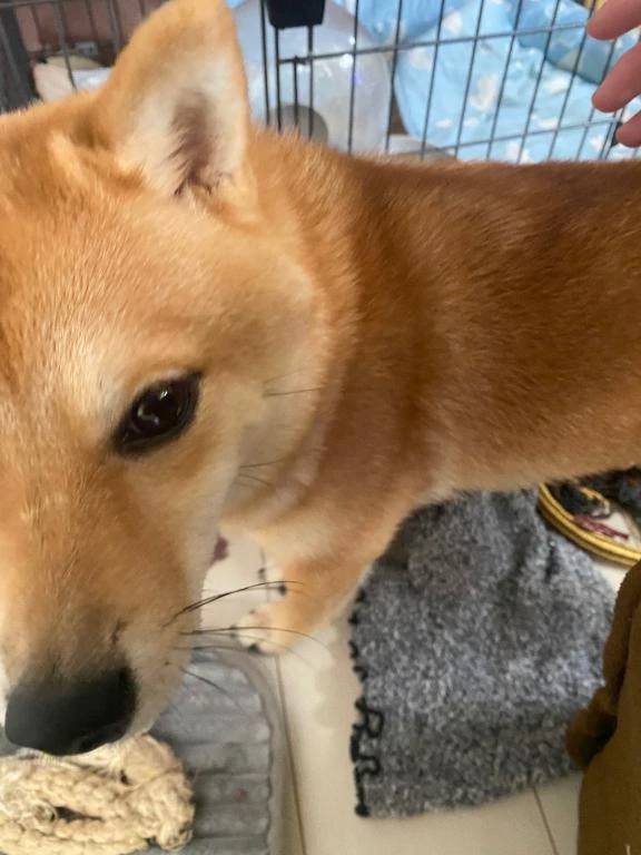 31日出勤します