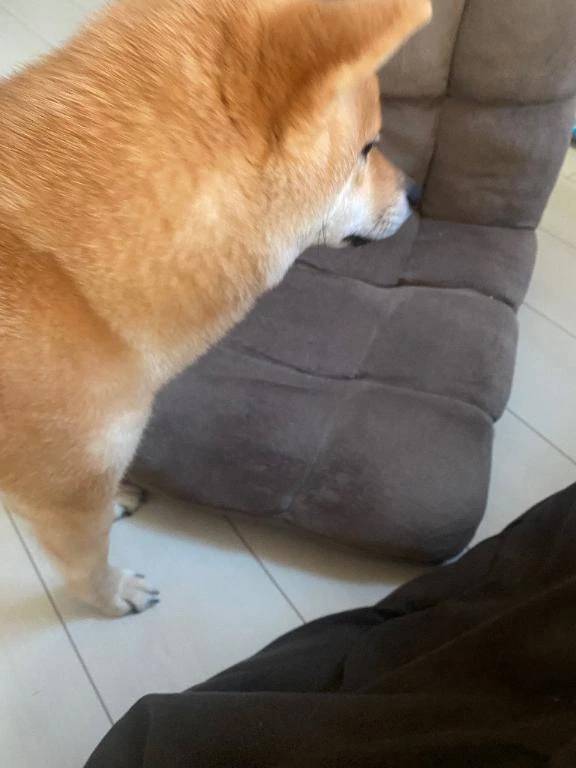 おはようございます😊