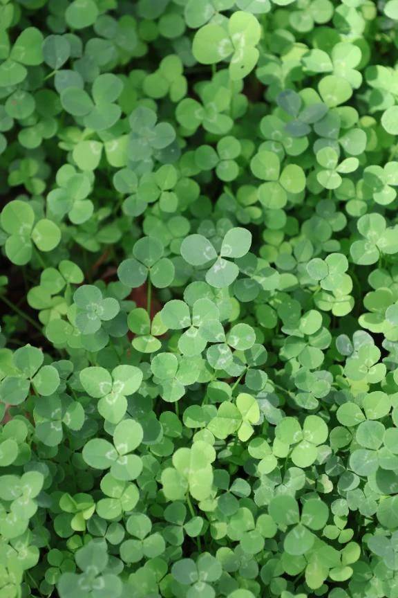 きょうもいちにち\( *´ω`* )/♪